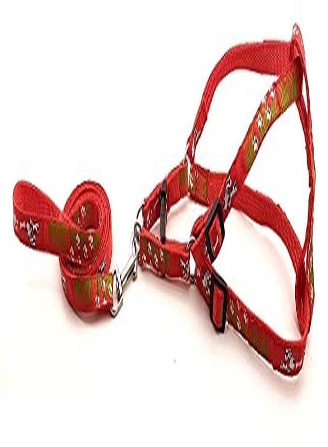Pups&Pets Pet 15 MM Adjustable Leash with Harness Set with Puppy Printed Nylon Harness for Small & Medium Dogs (Red) - Image 5